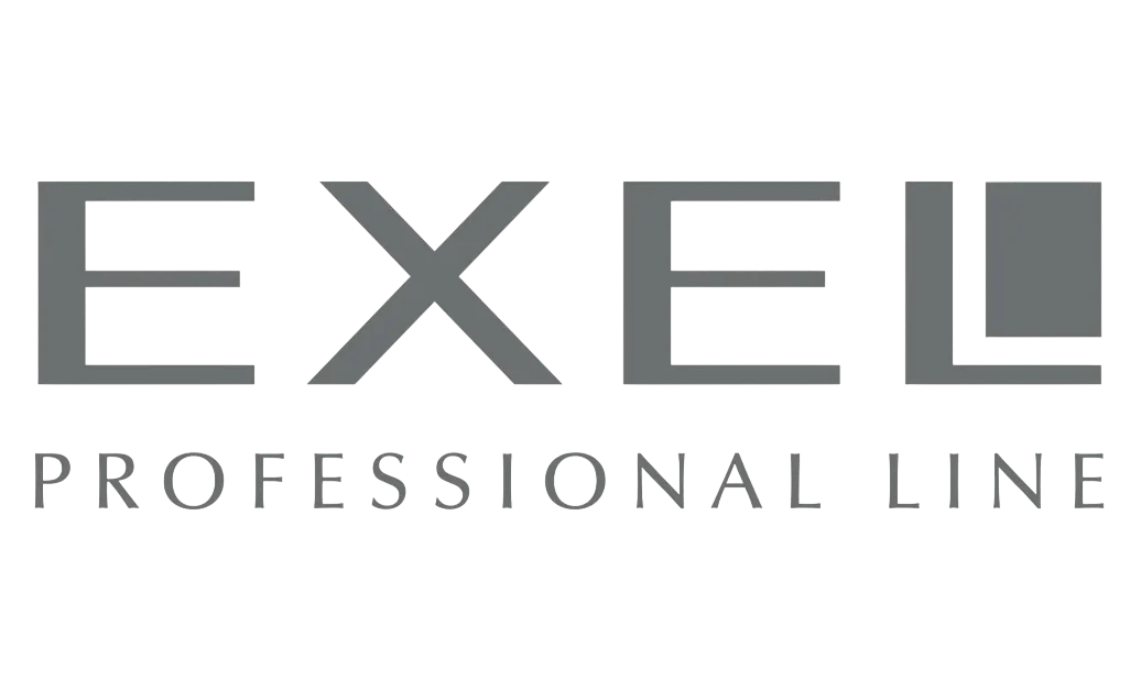 Logo de Exel